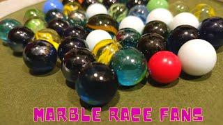 Marble Race Fans -Marble run ASMR #1