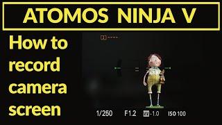 Atomos Ninja v. How to record camera screen