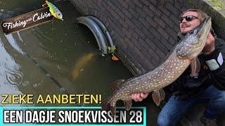 INSANE STRIKES IN AMSTERDAM! - A day of pike fishing 28 (English subtitles)