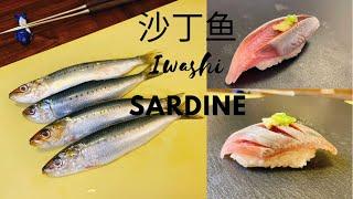 沙丁鱼（手开法）的处理不考验师傅的刀工而是手法： How to prepare Iwashi (Sardine ) for sushi#sushi #sashimi#sardine #sardines