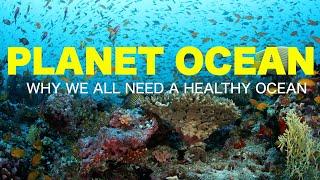 Planet Ocean Book Trailer By Patricia Newman and Annie Crawley