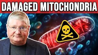 5 WARNING SIGNS Your Mitochondria Are Damaged