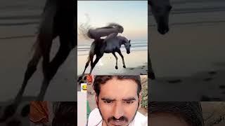 Funny shorts video/ Uday music shorts