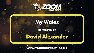 David Alexander - My Wales - Karaoke Version from Zoom Karaoke