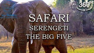 Serengeti National Park The Big Five | Immersive Experience