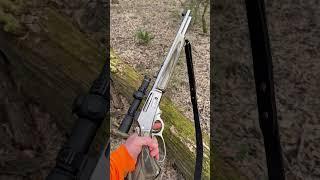 How to be a more successful hog hunter on public land