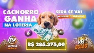 CACHORRO GANHA NA LOTERIA! VAI CONSEGUIR RECEBER O PRÊMIO?