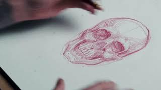 Chris Garver's Skull Tutorial | Tattoodo | Art Class