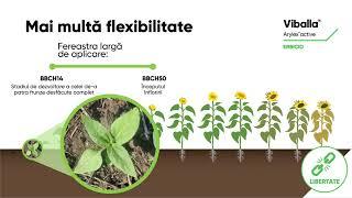 Viballa_Arylex active - Mai multa flexibilitate