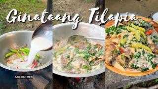 Fried Fish in Creamy Coconut Milk | Ginataang Tilapia with Malunggay | Kusinela