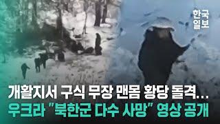 "쿠르스크 북한군 전사자 수십 명..." 우크라이나 북한군 공세 영상 공개하며 격퇴 주장