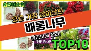 배롱나무 추천 판매순위 Top10 || 가격 평점 후기 비교