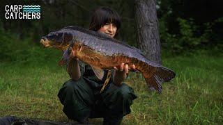 Black carp - Carp fishing near snags in the forest lake