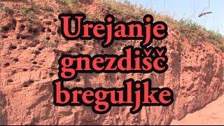 Urejanje gnezdišč breguljke