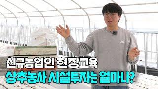 상추농사 시설하우스 현장교육 시설투자비는 얼마나??