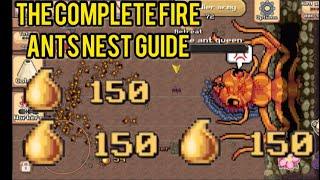 The Complete Fire Ants Nest Tutorial In Pocket Ants | *easy honeydew* |