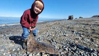 Halibut Catch & Cook While Beach Camping in Alaska