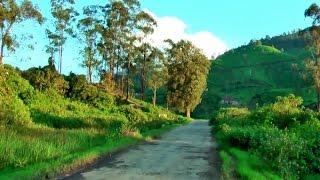 MOST BEAUTIFUL  STUNNING VIEWS LANDSCAPES AROUND  MUNNAR.. WITH HD LENS