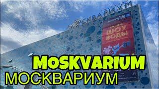 Москвариум ВДНХ. Moskvarium VDNH.