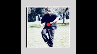 Variation and experiment with classic Yang style tai chi form