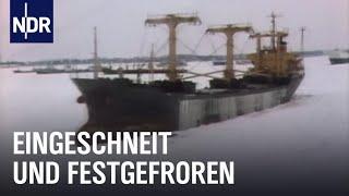 Als der Norden im Schnee versank | Unsere Geschichte | NDR Doku