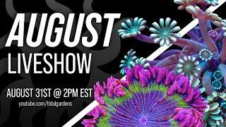 Tidal Gardens August 2024 Live Show