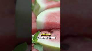 Watermelon Wonders Fun Facts Unveiled #watermelon