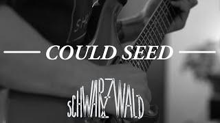 Could Seed - Schwarzwald [Official Music Video]