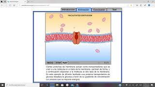Difusión facilitada por proteínas transportadoras