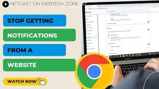 How to Block a Website From Sending Notifications | Stop Getting Notifications From a Website