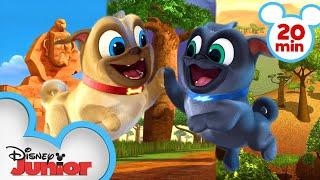 Bingo and Rolly Travel Around Africa! | Compilation | Puppy Dog Pals | Disney Junior