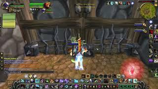 pandawow.ru 2v1 with 533 ilvl ^^