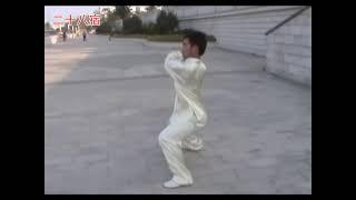 Fuzhou - Dragon Stake Boxing (龙桩拳) - Form: 28 Constellations / Ershibasu (二十八宿)