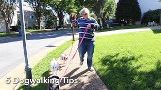 5 Dog Walker Tips