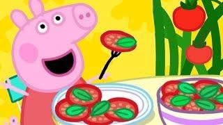 Peppa Pig Nederlands Compilatie Nieuwe Afleveringen  Lunch Met Peppa | Tekenfilm | Peppa de Big