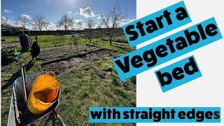 How to start an allotment bed - marking out the bed