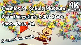 The Snoopiest Museum Around | The Charles M. Schulz Museum, Warm Puppy Cafe & Shop | Santa Rosa, CA