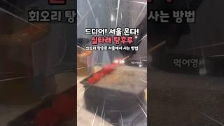 회오리 실타래 탕후루 서울에서 먹을 수 있는 방법