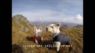 Ben Loyal, Sutherland. 29th April 2017