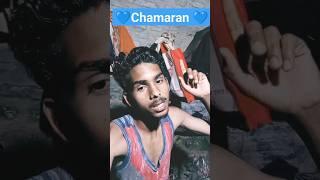 #chamar #chamaran Gharana se #video #viral #shortvideo