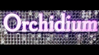 Выставка продажа орхидей и экзотических растений Орхидиум /Orchidium 18.09.2021