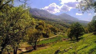 Lordegan-Sardasht 2024/08/05