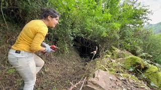 19# DESBROZAMOS la FINCA para ACCEDER al BOSQUE | Al Son de mi Furgón