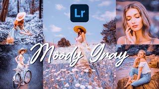 Moody Gray Preset | Lightroom Mobile Preset DNG XMP | Orange and Gray Preset