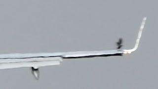 Winglet Bird-Strike