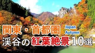 10 Best Views of Autumn Foliage in Valleys of Kanto region / Beautiful Scenery of Japan [ 4K ]