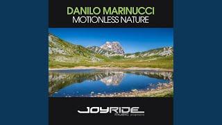 Motionless Nature (Radio Mix)