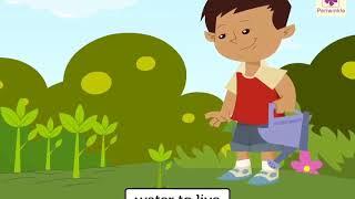 Importance of Water | Science For Kids | All Important Water | Periwinkle | Vid #10