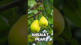FRUITS THAT NO LONGER EXIST...  PT.2
