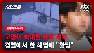 [반장픽 모아보기] 온라인 '발칵' 뒤집은 고양이 학대범, 알고보니 유명 셰프였다 / JTBC 사건반장